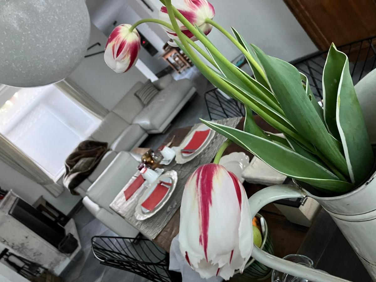 B&B My Suite Home Brugge Buitenkant foto