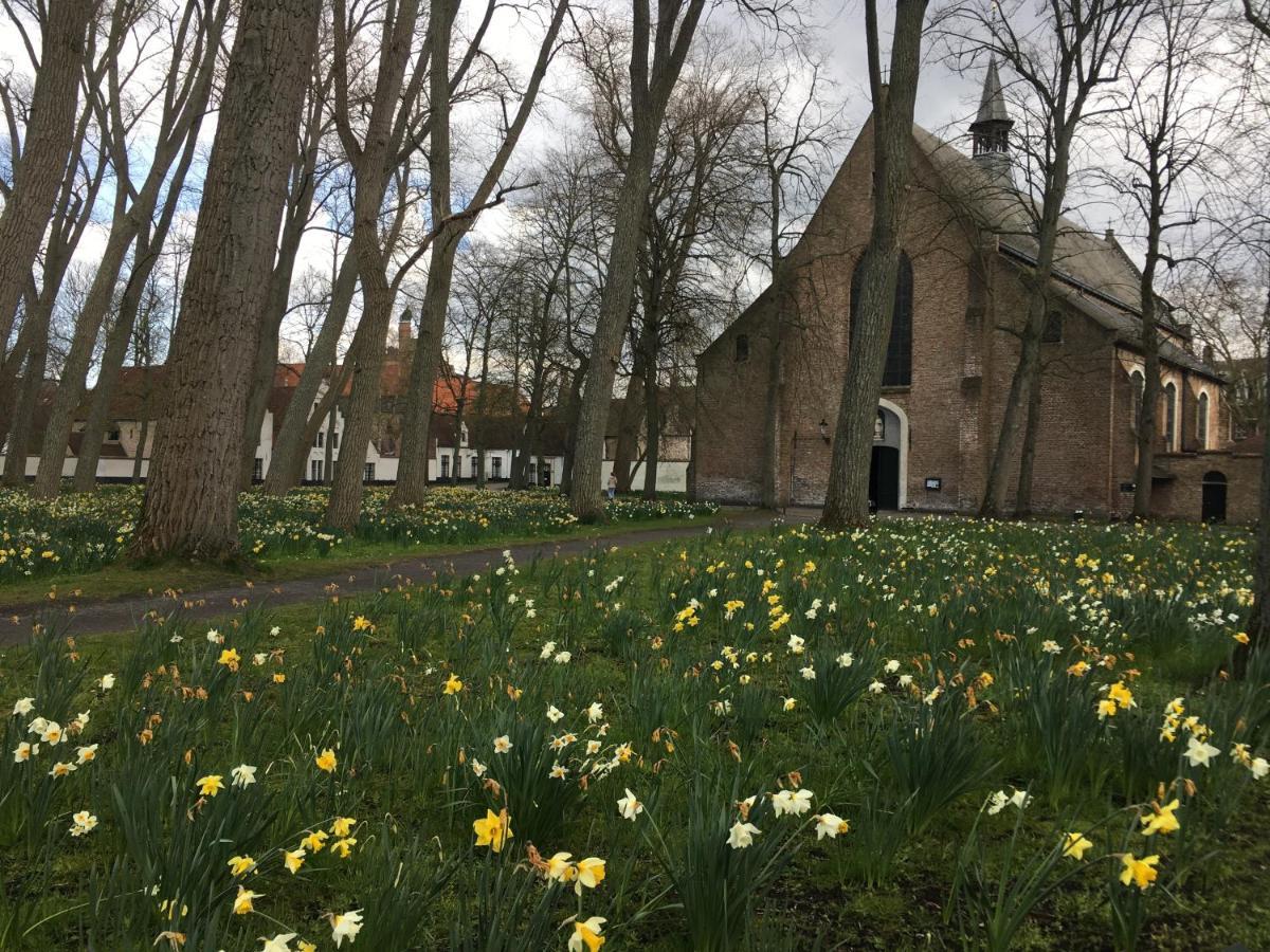 B&B My Suite Home Brugge Buitenkant foto