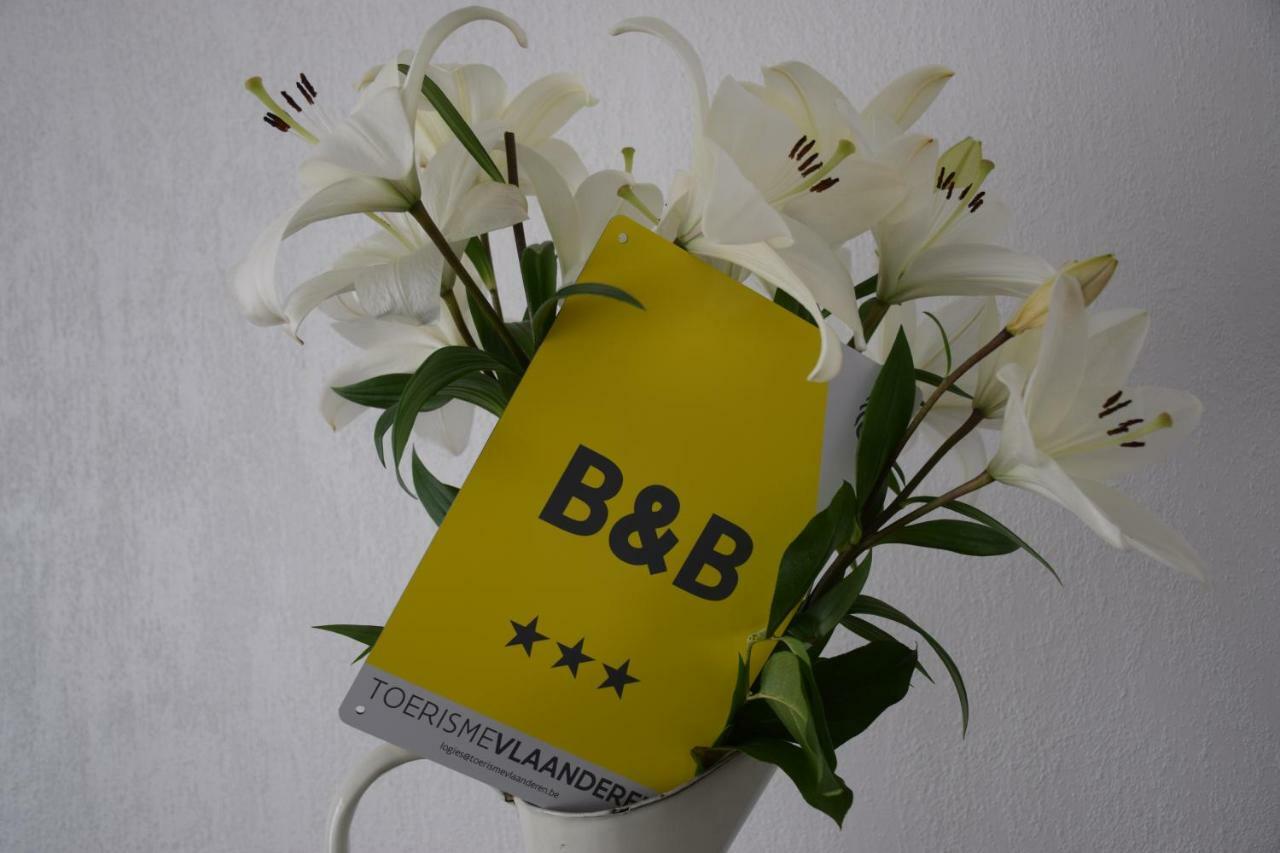 B&B My Suite Home Brugge Buitenkant foto